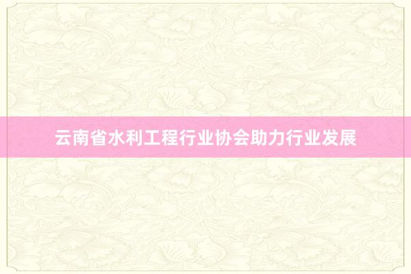 云南省水利工程行业协会助力行业发展