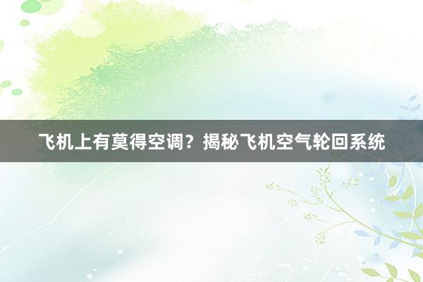 飞机上有莫得空调？揭秘飞机空气轮回系统
