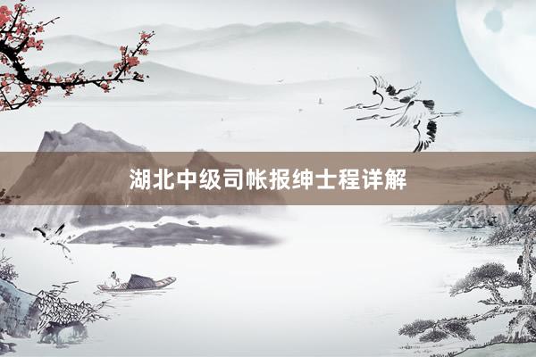 湖北中级司帐报绅士程详解