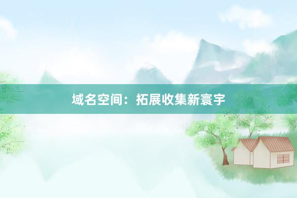 域名空间：拓展收集新寰宇
