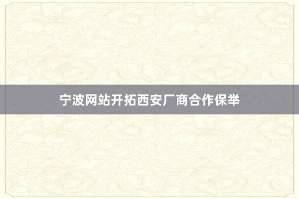 宁波网站开拓西安厂商合作保举