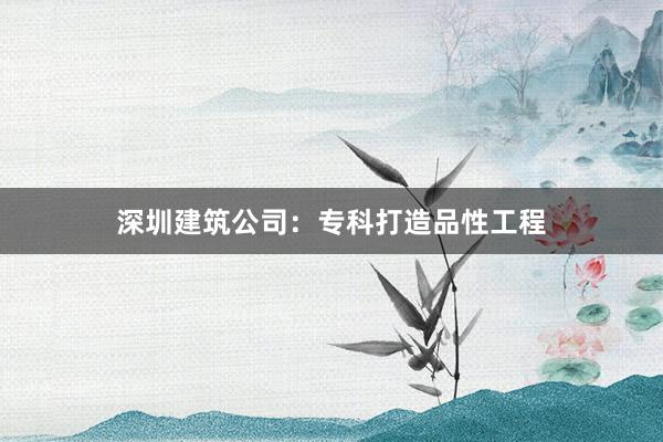 深圳建筑公司：专科打造品性工程