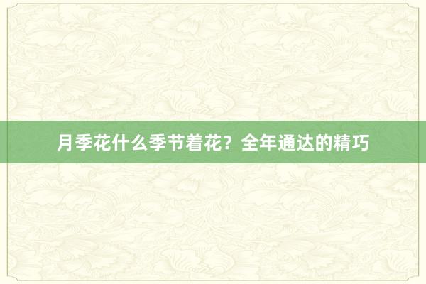 月季花什么季节着花？全年通达的精巧