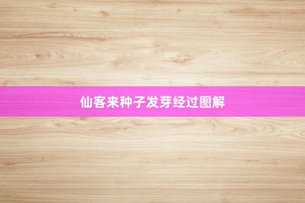 仙客来种子发芽经过图解
